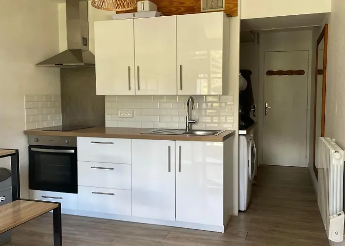 Appartement Au Pied Des Pistes